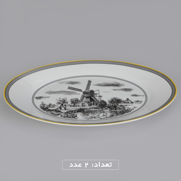 سرویس چینی 102 پارچه غذا خوری چینی زرین ایران سری ایتالیا اف مدل ویلیج درجه یک